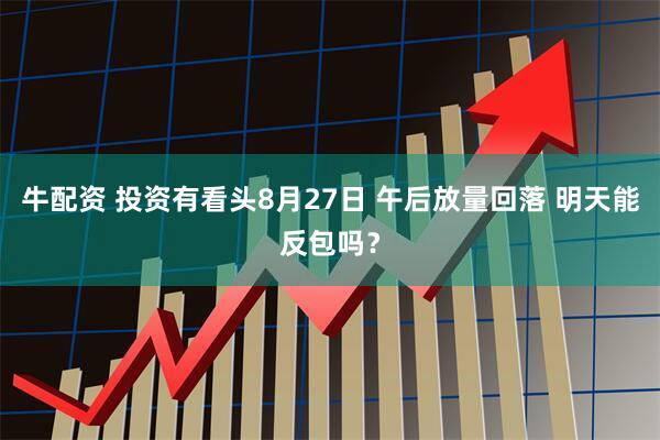 牛配资 投资有看头8月27日 午后放量回落 明天能反包吗？