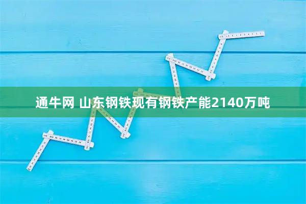 通牛网 山东钢铁现有钢铁产能2140万吨