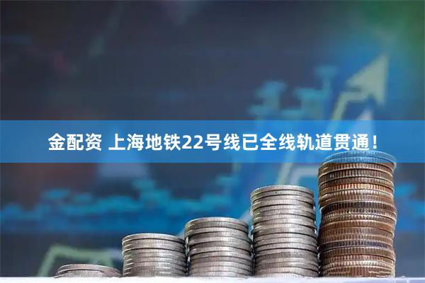 金配资 上海地铁22号线已全线轨道贯通！