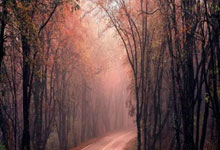 什么炒股软件可以杠杆:配资网络炒股配资-11月18日集合竞价：胜利股份6连板 九牧王5连板